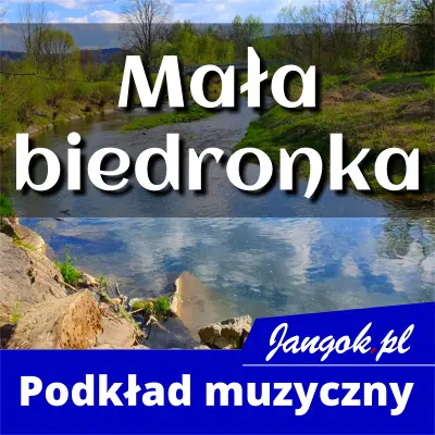 Mała biedronka - podkład muzyczny